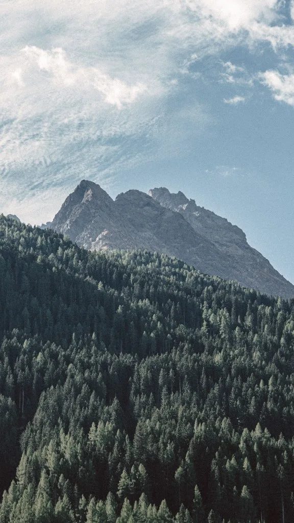 Rocky peak above dense coniferous forest under a blue sky