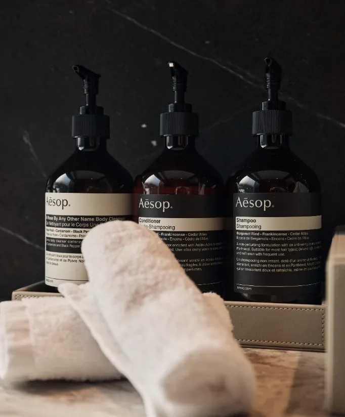 Aesop care products in the chalet bathroom